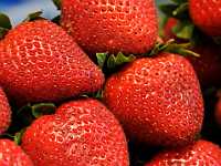 strawberries 9276